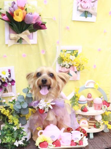 20230322ちゃあすけくん